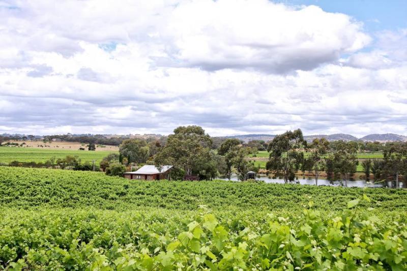 Stonewell cabañas&Vineyards Retreat Barossa Valley Exterior foto